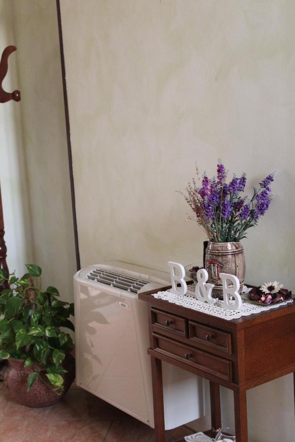 La Collina Bed & Breakfast Santa Maria Del Cedro Exterior photo